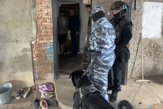 Масштабную облаву на цыганскую диаспору устроили силовики в Ростовской области 