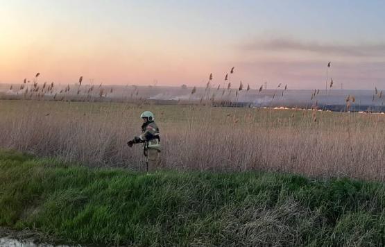 Больше 100 выжиганий сухостоя проведут в Ростовской области 12 марта