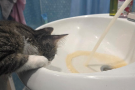 В Ростове жителям двух районов отключили холодную воду из-за аварии