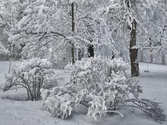 Экстренное предупреждение объявили на Дону из-за ухудшения погоды