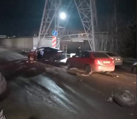 поздравления на 8 марта от животных