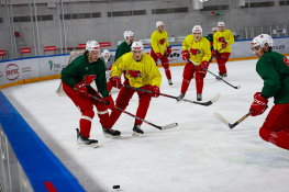 Болельщики ХК «Ростов» выступили с петицией в поддержку команды