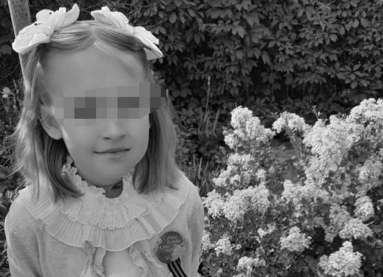 Была домашняя и ласковая: хроника и новые подробности пропажи и поисков убитой под Ростовом восьмилетней девочки 