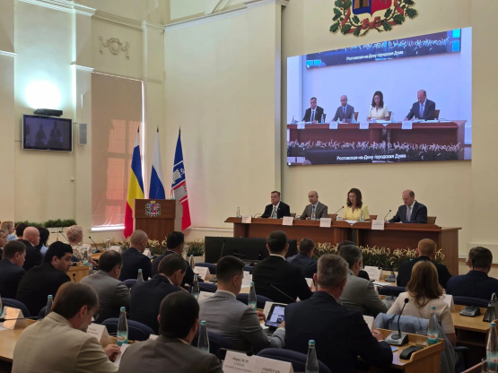В Ростове депутаты гордумы оценили качество и темпы ремонта дорог по нацпроекту 