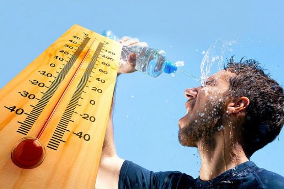 В Ростовской области с 1 июня ожидается жара до +35