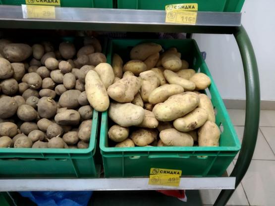 Картофель в Ростовской области за месяц подорожал на 30%