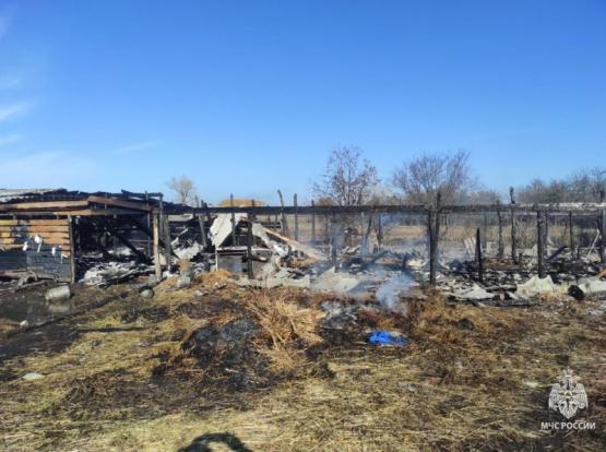 Оставленный в розетке доильный аппарат сжёг коровник в Ростовской области