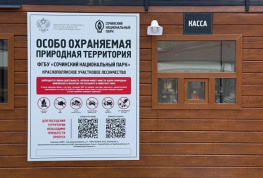 Вход в Сочинский национальный парк подорожал