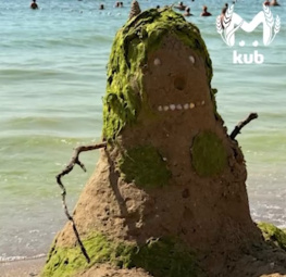 На заиленных анапских пляжах появились "водорослевики"
