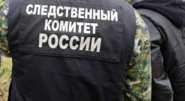 Выброшенного в пакете мёртвого новорождённого нашли в Ростове
