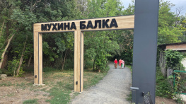 Транзитные туристы облюбовали Мухину балку в Аксае