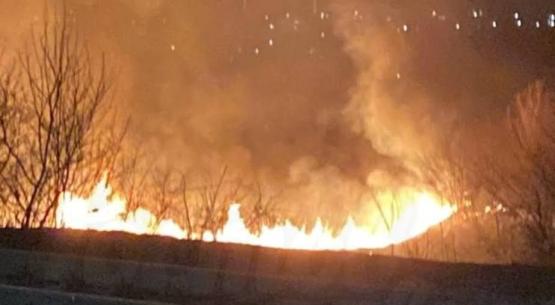 Лес загорелся в Ростовской области после атаки БПЛА