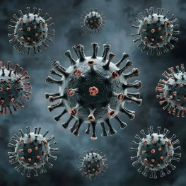 Семь опасных вирусов лютуют в Ростовской области 