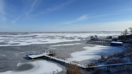 До +2°C потеплеет в Ростовской области 3 января