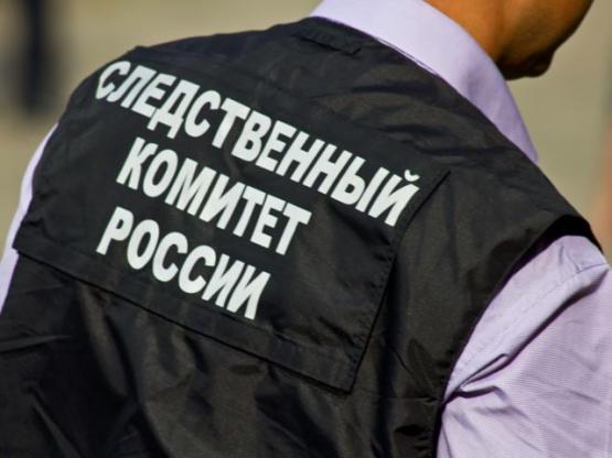 Бастрыкин дал указание СК Ростовской области возбудить уголовное дело на мужчину, который увёз 16-летнюю девочку из дома