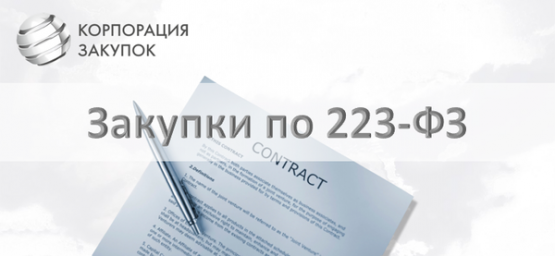 Проведение закупок по 223 ФЗ