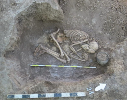 Следы древних поселений нашли в Суворовском микрорайоне Ростова