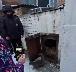 Вызволять попавшего в ловушку в Ростове кота пришлось наряду полиции 