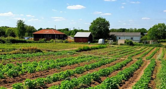 В Ростовской области ввели новые правила выкупа государственных земельных участков
