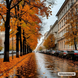 Что день грядущий нам готовит: в Ростове прохладно и сыро, по области - туманы и дожди