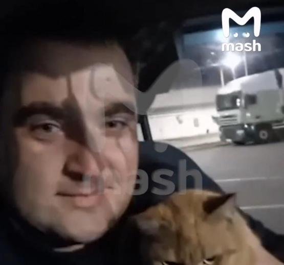  Дальнобойщик спустя два года нашёл пропавшего кота на КПП в Ростовской области