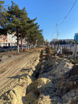 Зампред Госдумы Виктория Абрамченко требует наказать ответственных за спил сосновой аллеи в Новочеркасске