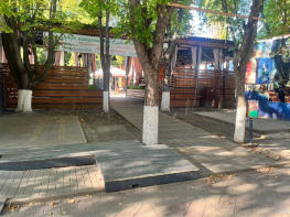 Мэрия Ростова расторгнет договор аренды парка «Плевен»