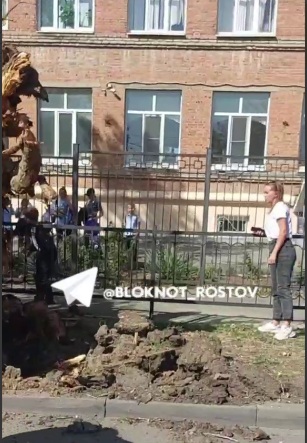 дерево3.jpg дерево3.jpg