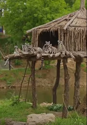 дети4.jpg дети4.jpg