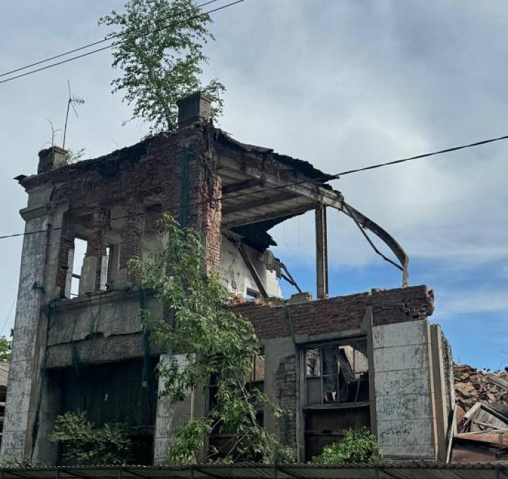 Житель Новочеркасска спустил на землю берёзку, которая 17 лет росла на крыше, и завел ей личный блог